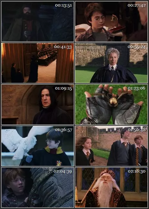 Кадр из фильма «Гарри Поттер и философский камень», 512x288