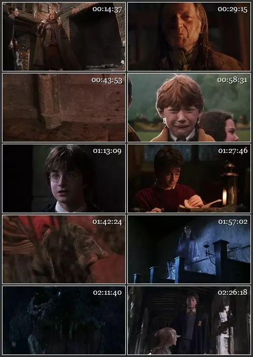 Кадр из фильма «Гарри Поттер и тайная комната», 512x288