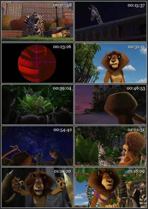 Кадр из фильма «Мадагаскар», 512x288